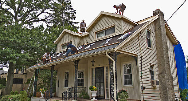 Best Metal Roofing Contractor  in Greeneville, TN
